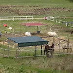 In With Shared Pool *