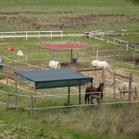 With Shared Pool In *
