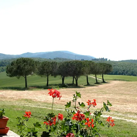 With Shared Pool In Guasticce