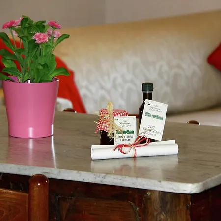 In With Shared Pool Holiday home *