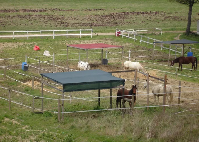 In With Shared Pool *