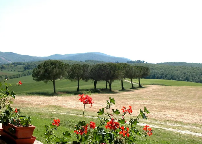 In With Shared Pool Guasticce